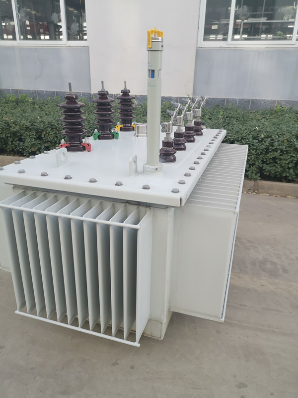 1573717653577372.jpg 10KV油浸SH(B)15非晶合金變壓器 (3).jpg